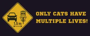 onlycatshavemultiplelives!